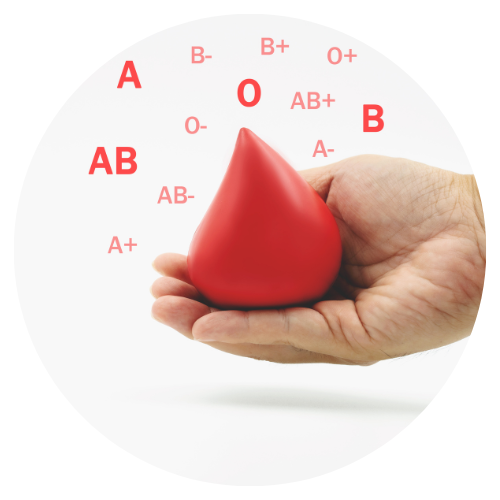 Afinal de contas, pode doar sangue menstruada? Entenda!