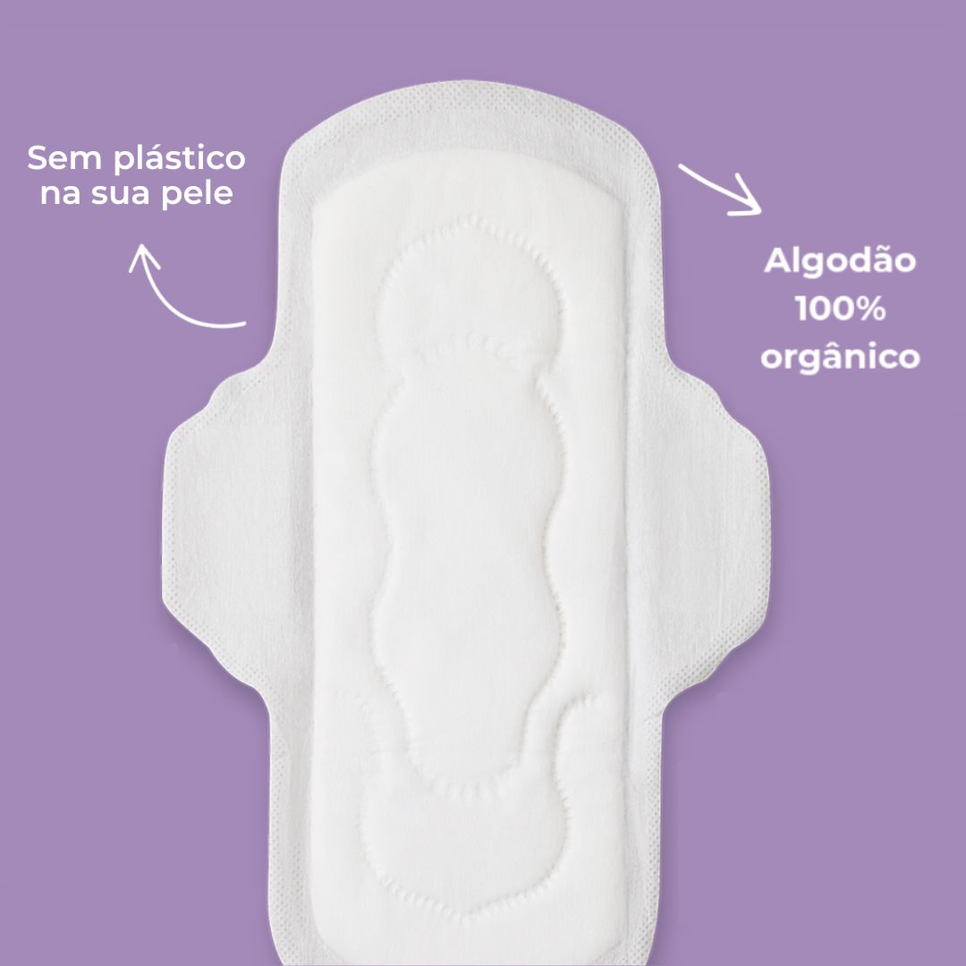 Absorvente Externo Fluxo Regular