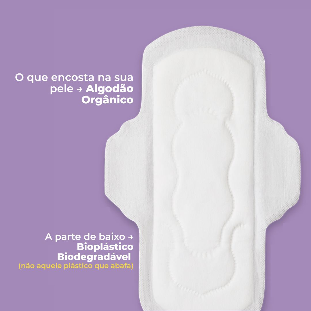 Absorvente Externo Fluxo Regular